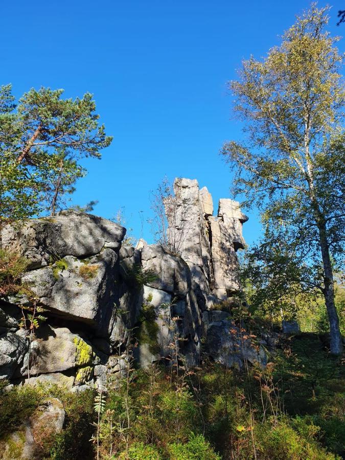 Gaestehaus Aurelia Wiesau Kültér fotó